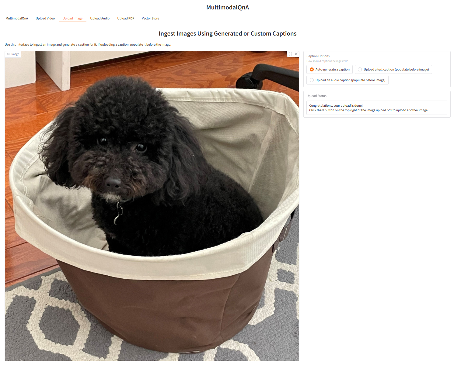 MultimodalQnA-ingest-image-screenshot